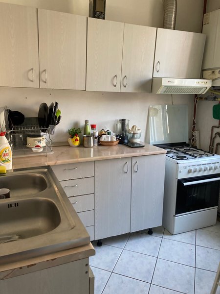 Dorobanti, Iancu de Hunedoara.