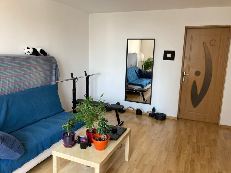 Dorobanti, Iancu de Hunedoara.